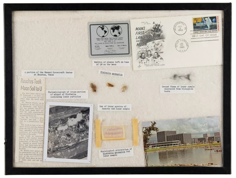 布魯克斯儲存的蟑螂和從其中取出的阿波羅 11 號月塵樣本