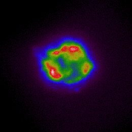 這張來自 NASA X 射線成像偏振探測器的圖像描繪了來自天文臺第一個目標——超新星仙后座 A 的 X 射線強度。顏色從冷紫色和藍色到紅色和熱白色，都與 X 射線的亮度增加相對應。這張圖像是利用 IXPE 在1月11日至18日期間收集的 X 射線資料製作的。