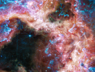 韋伯的中紅外探測器( MIRI )捕捉到的波長較長的光，聚焦於中央星團周圍的區域，揭示了蜘蛛星雲的一個非常不同的視圖。在這種光線下，星團中年輕的熱恆星的亮度逐漸減弱，發光的氣體和塵埃向前出現。豐富的碳氫化合物照亮了塵埃雲的表面，如圖中藍色和紫色所示。