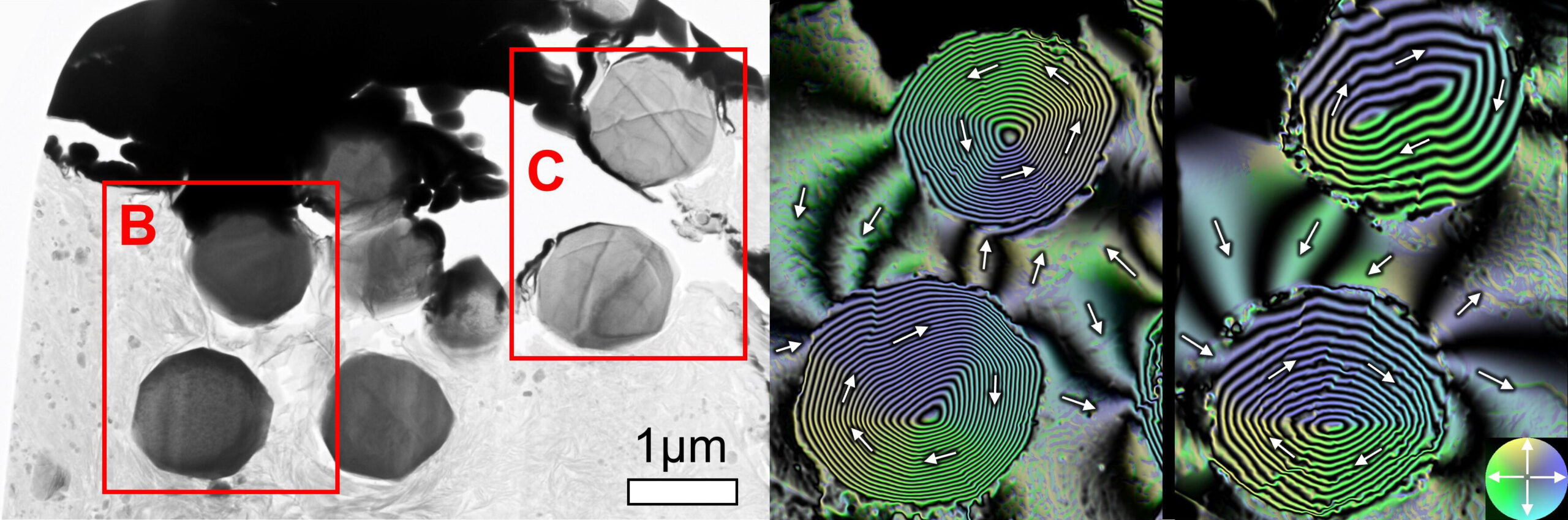 刻在球形磁鐵礦 (Fe3O4) 晶體中的古地磁記錄。 從Ryugu樣品中提取的磁鐵礦的透射電子顯微鏡圖像（A）和通過電子全息術獲得的磁通量分佈圖像（B，C）。 箭頭和顏色表示磁化方向。 在顆粒內部看到的同心條紋表明磁場線沿箭頭方向纏繞（稱為螺旋磁疇結構）。 在粒子外部看到的磁場線是來自粒子的雜散磁場，反映了當琉球母體內部變暖併發生水和礦物質之間的反應時琉球的磁環境