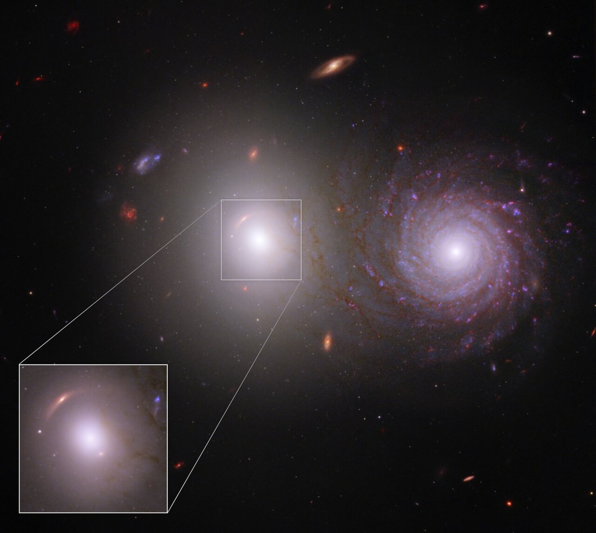 新發現的透鏡星系