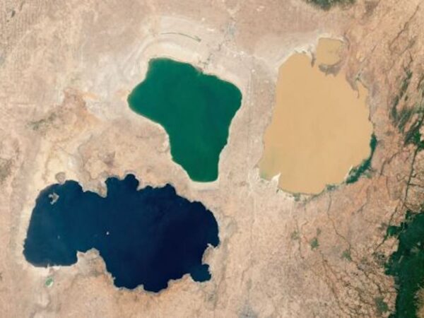 Shala 湖（藍色）、Abijatta 湖（綠色）、Langano 湖（黃色）
